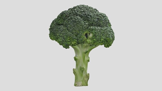 Broccoli Low Poly Low-poly 3D model 5