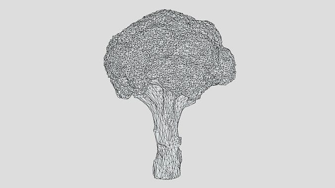 Broccoli Low Poly Low-poly 3D model 2