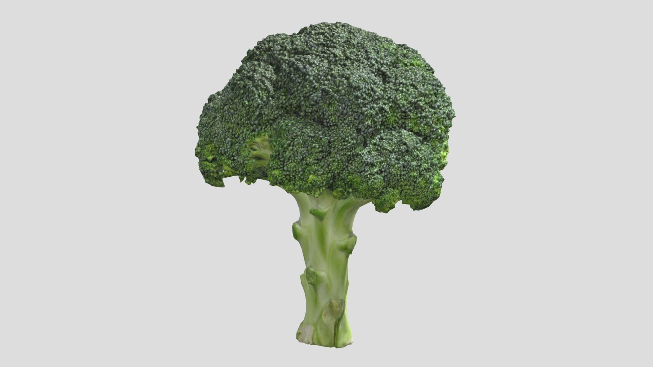 Broccoli Low Poly Low-poly 3D model_5