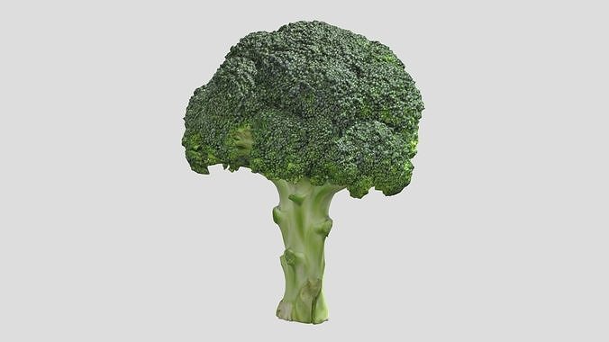 Broccoli Low Poly Low-poly 3D model 6