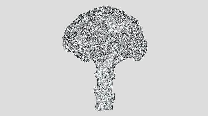 Broccoli Low Poly Low-poly 3D model 4