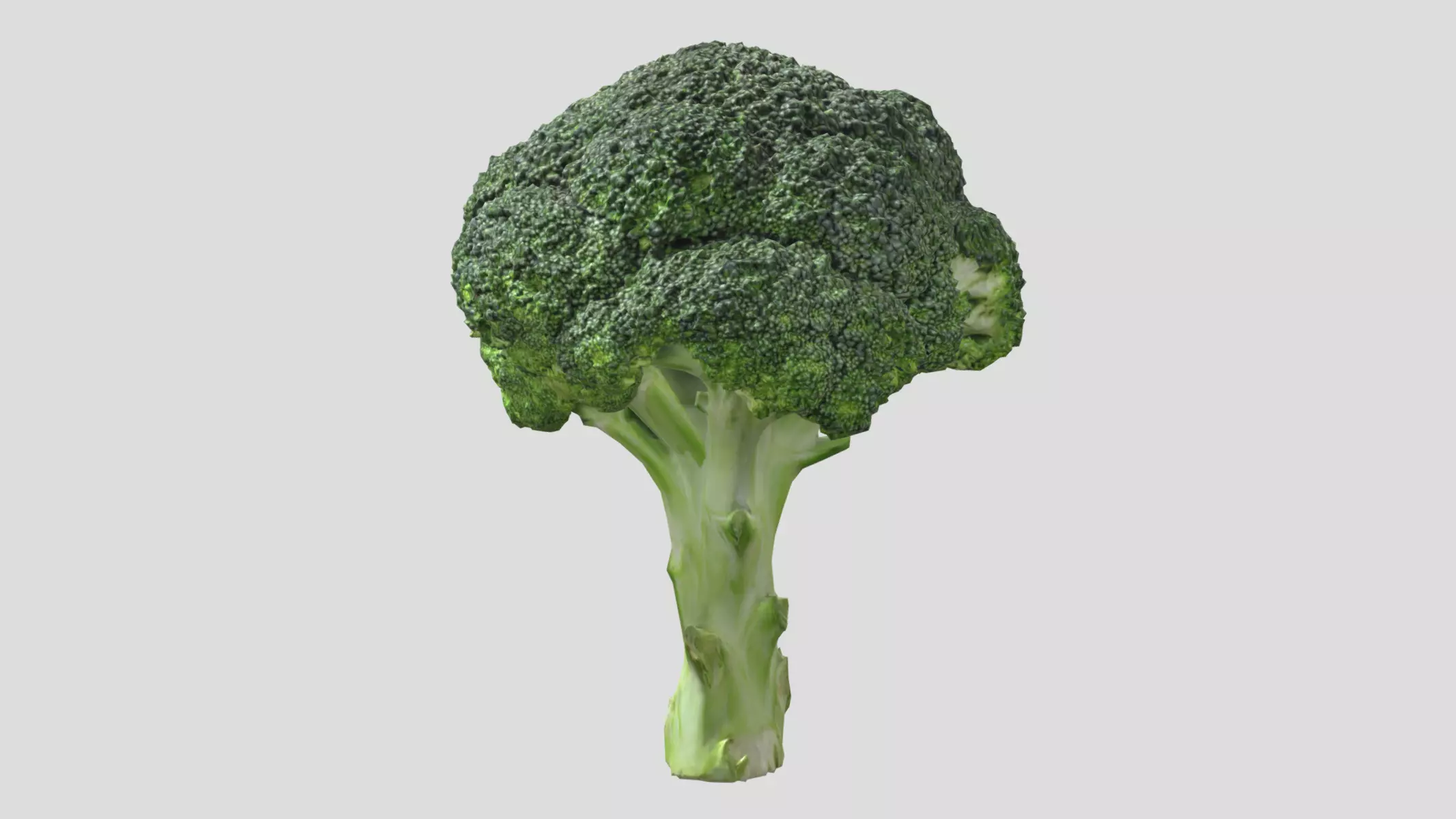 Broccoli Low Poly Low-poly 3D model_0