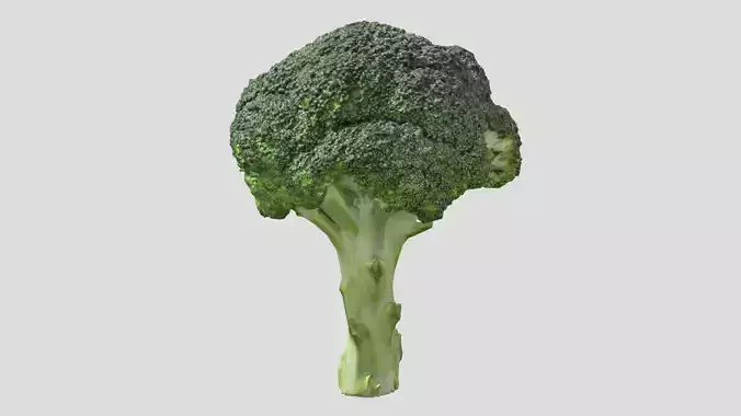 Broccoli Low Poly Low-poly 3D model
