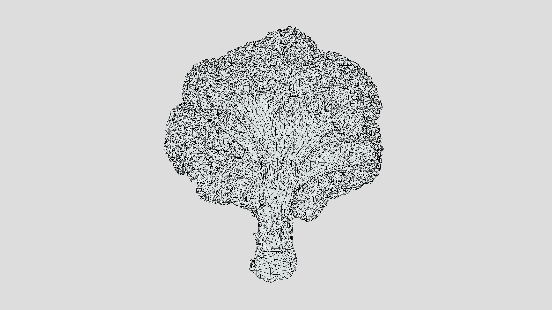 Broccoli Low Poly Low-poly 3D model_16