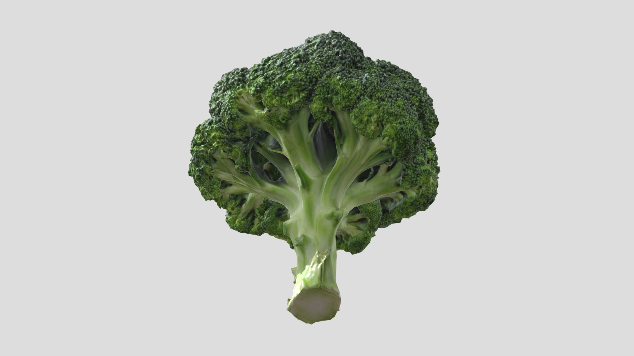 Broccoli Low Poly Low-poly 3D model_14