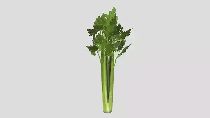 Celery Low Poly Low-poly 3D model