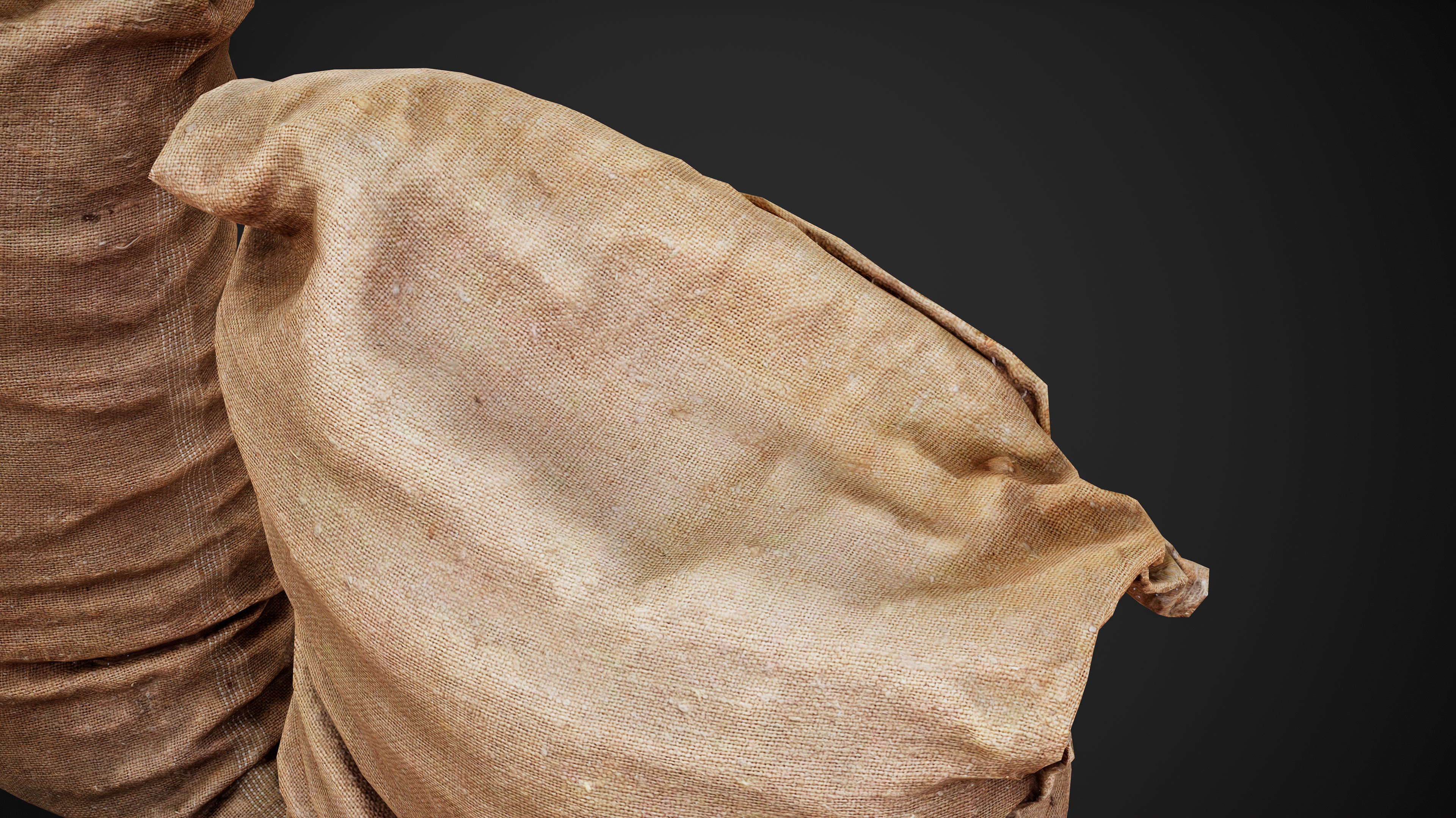 Old burlap bag photo scan Free low-poly 3D model_6