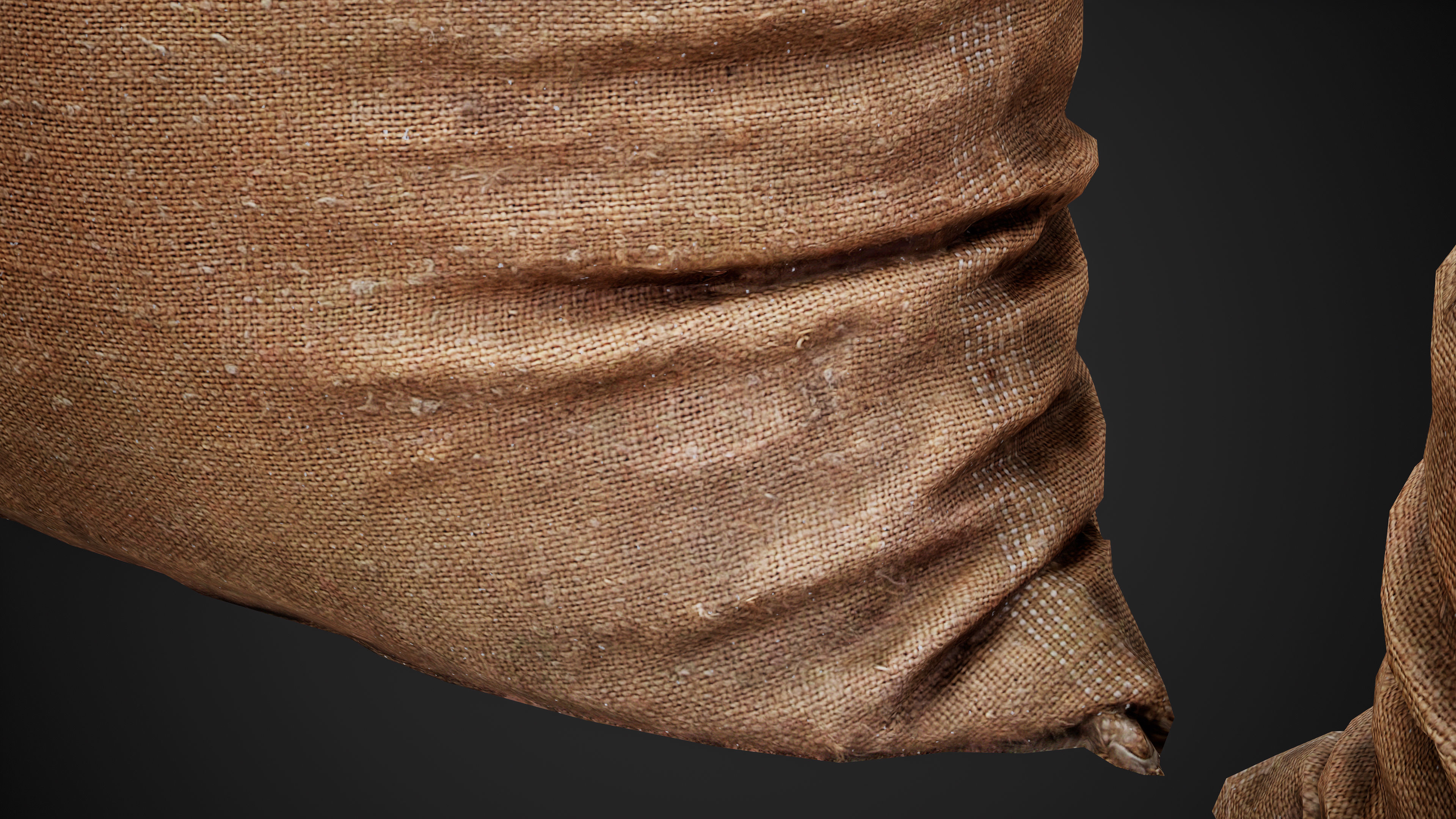 Old burlap bag photo scan Free low-poly 3D model_8