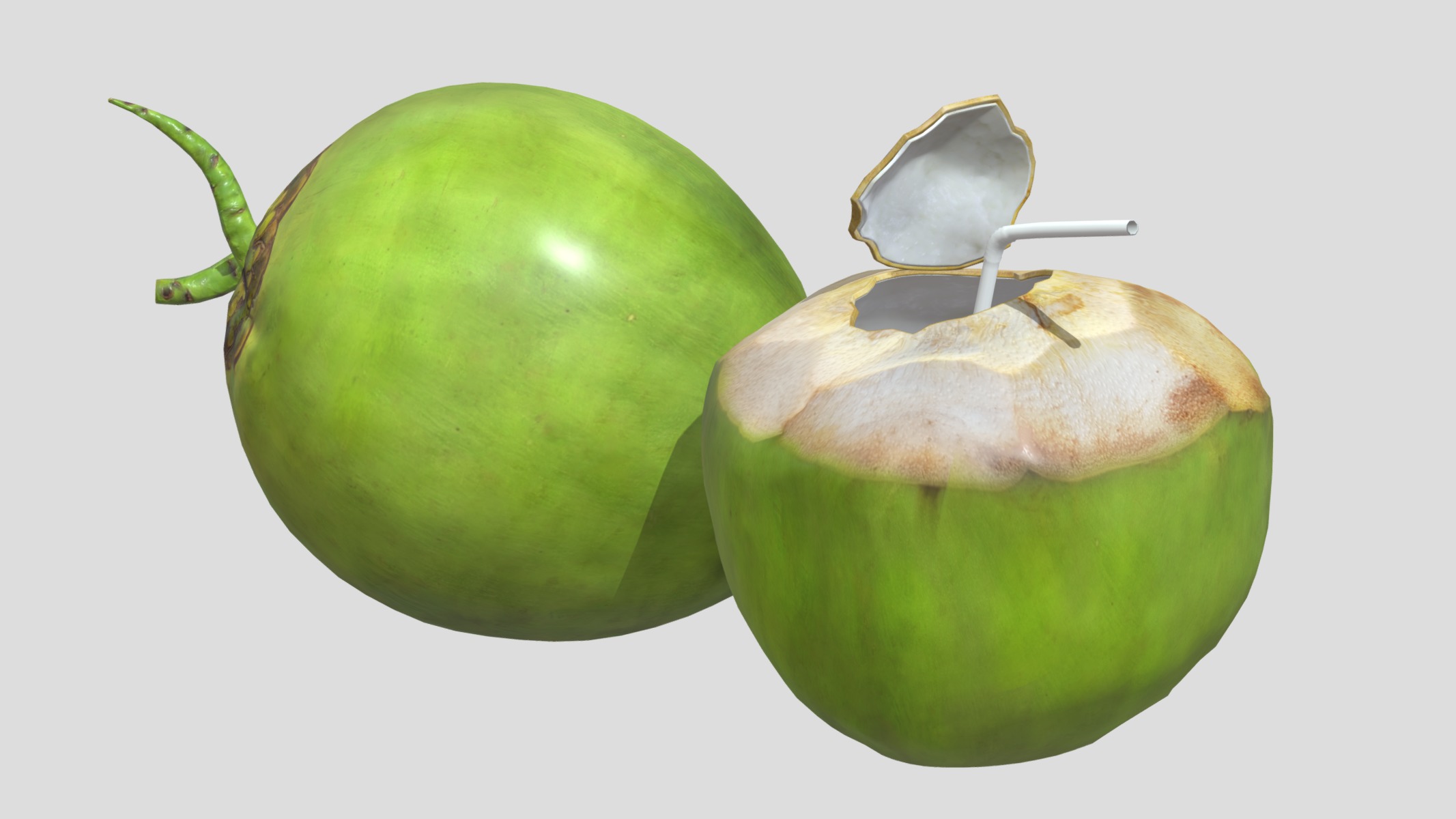 Coconut 02 Low Poly Low-poly 3D model_4