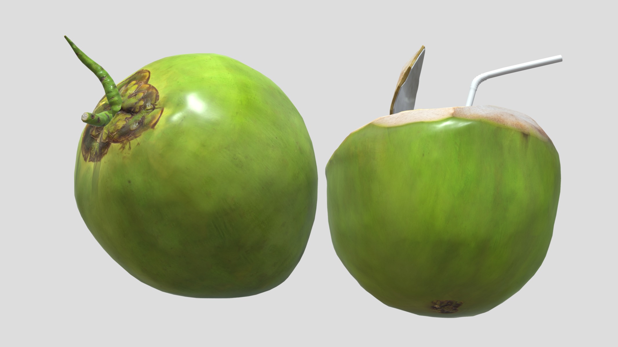 Coconut 02 Low Poly Low-poly 3D model_10