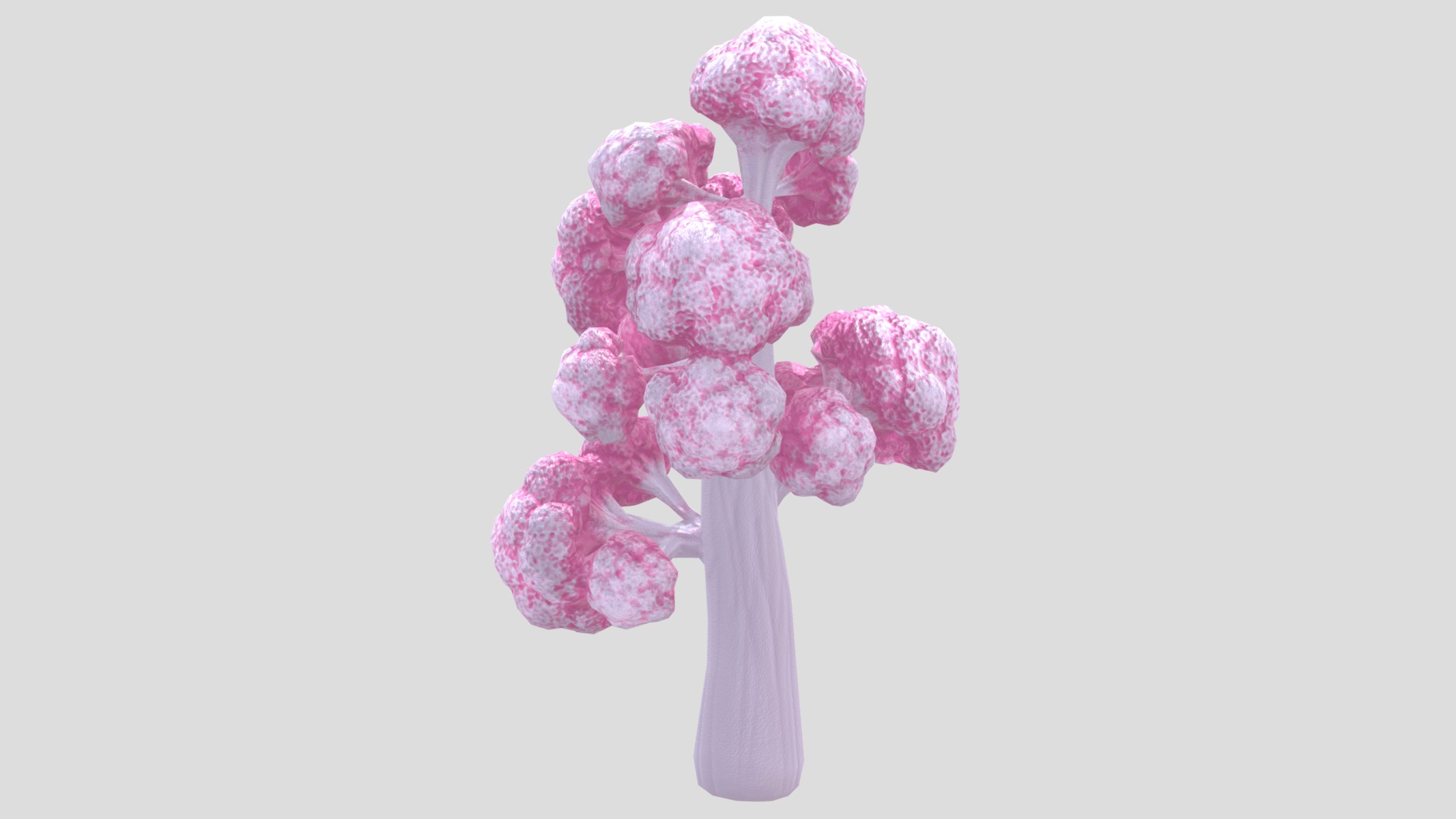 Dendronephthya Coral Low Poly Low-poly 3D model_6