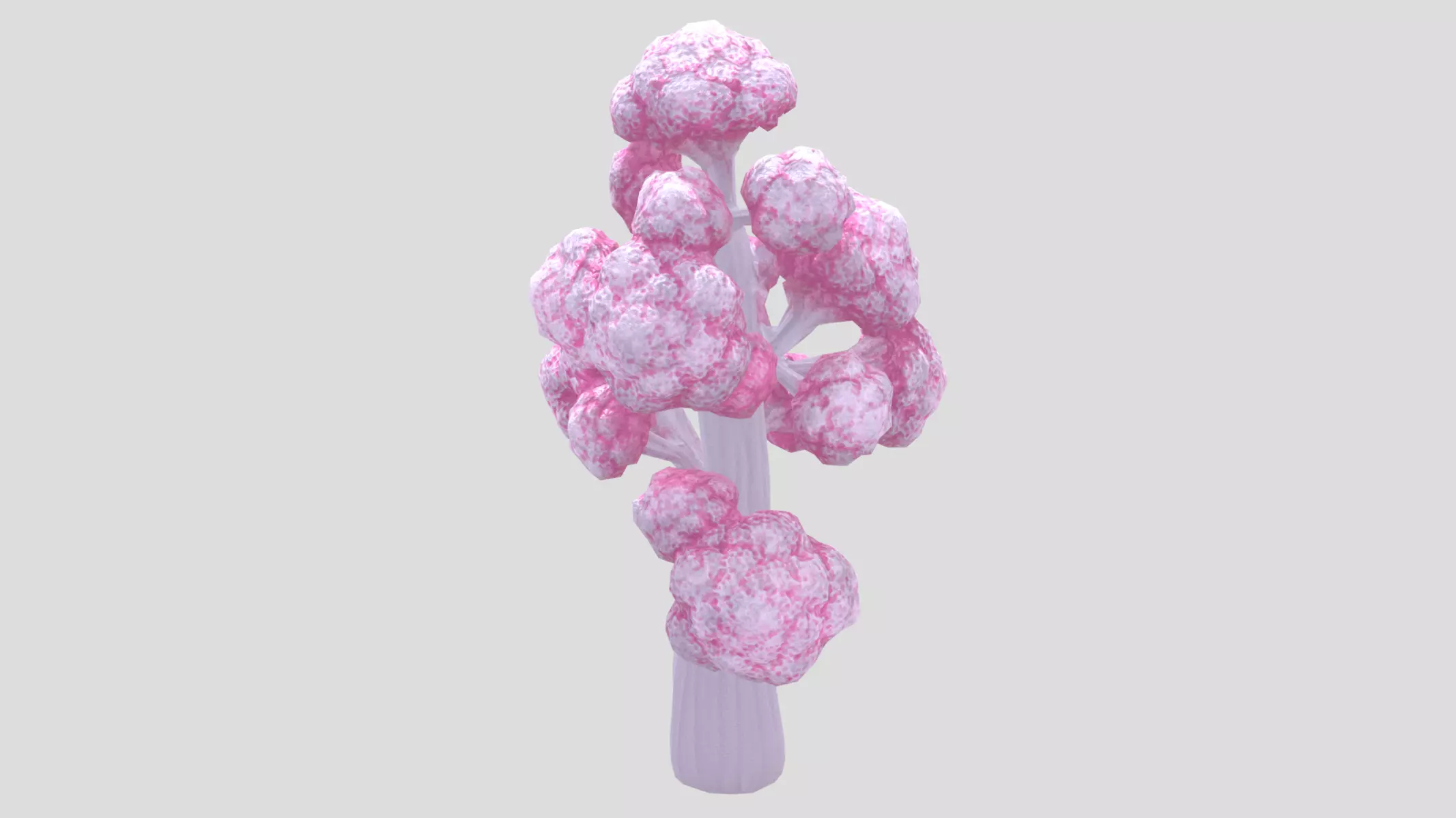 Dendronephthya Coral Low Poly Low-poly 3D model_0