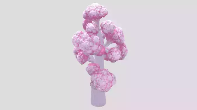 Dendronephthya Coral Low Poly