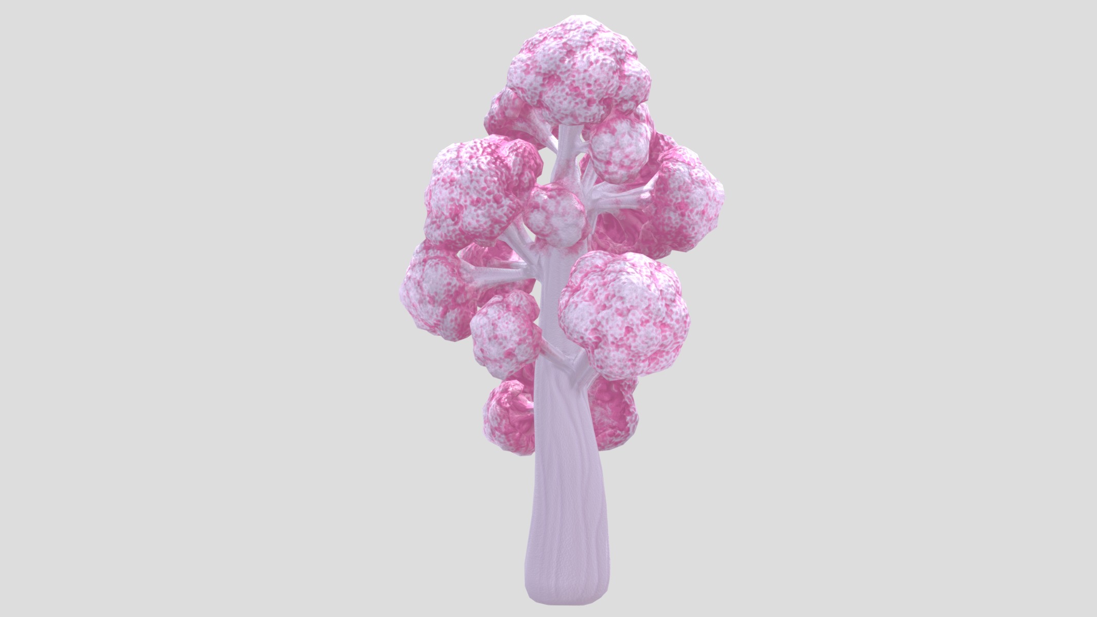 Dendronephthya Coral Low Poly Low-poly 3D model_8