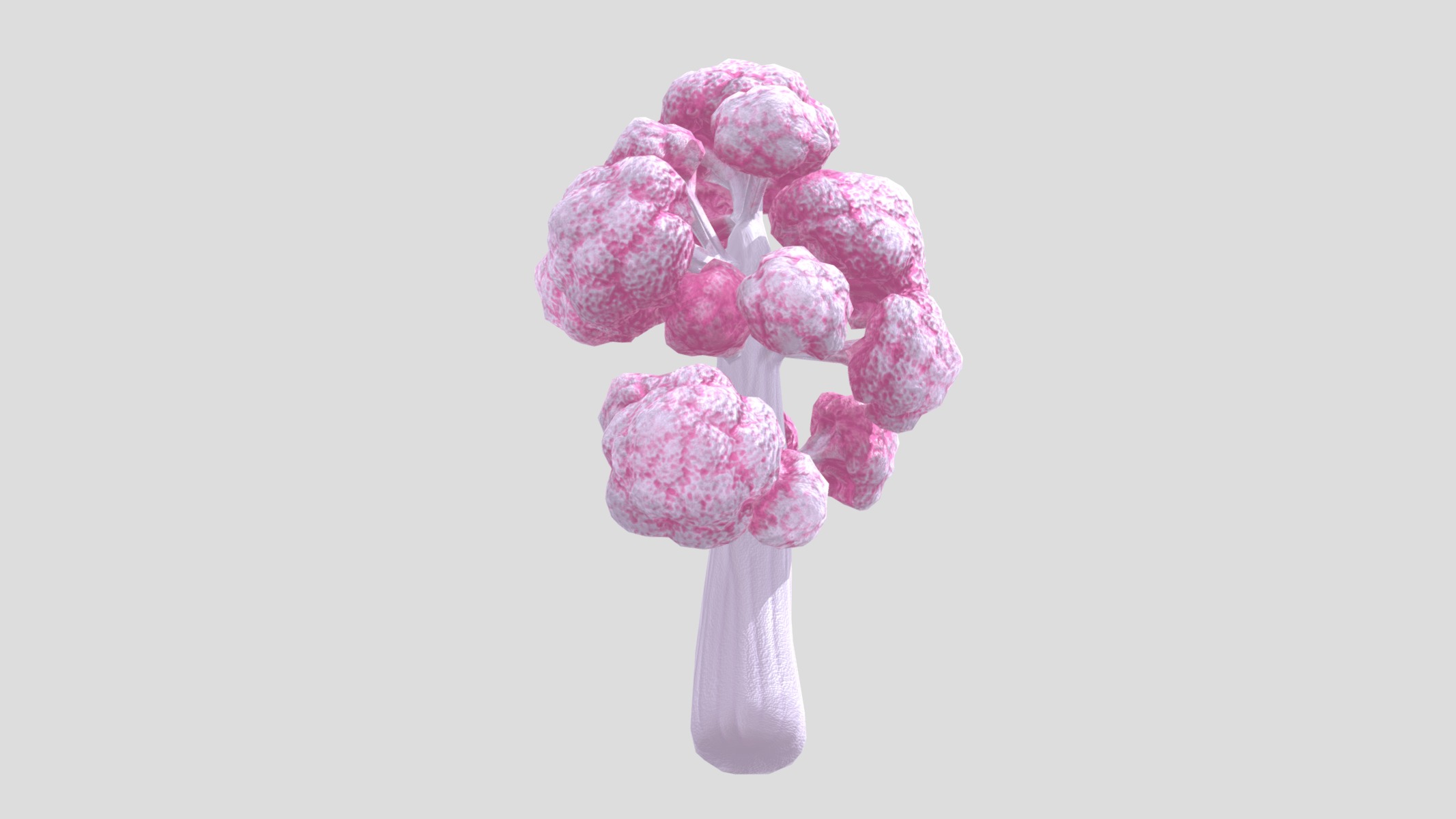 Dendronephthya Coral Low Poly Low-poly 3D model_4