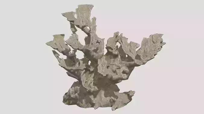 Elkhorn Coral Low  Poly Low-poly 3D model