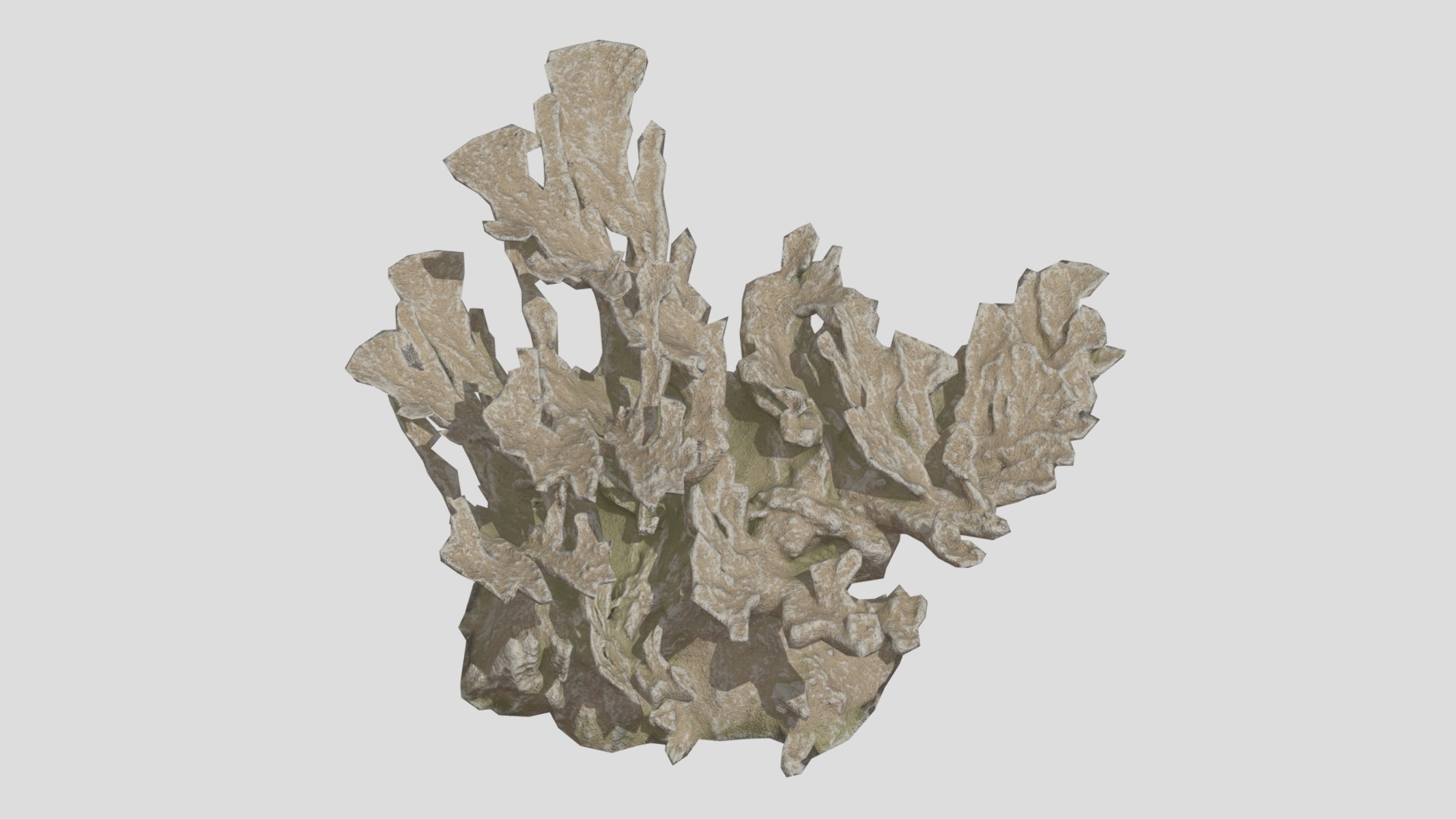 Elkhorn Coral Low Poly Low-poly 3D model_8