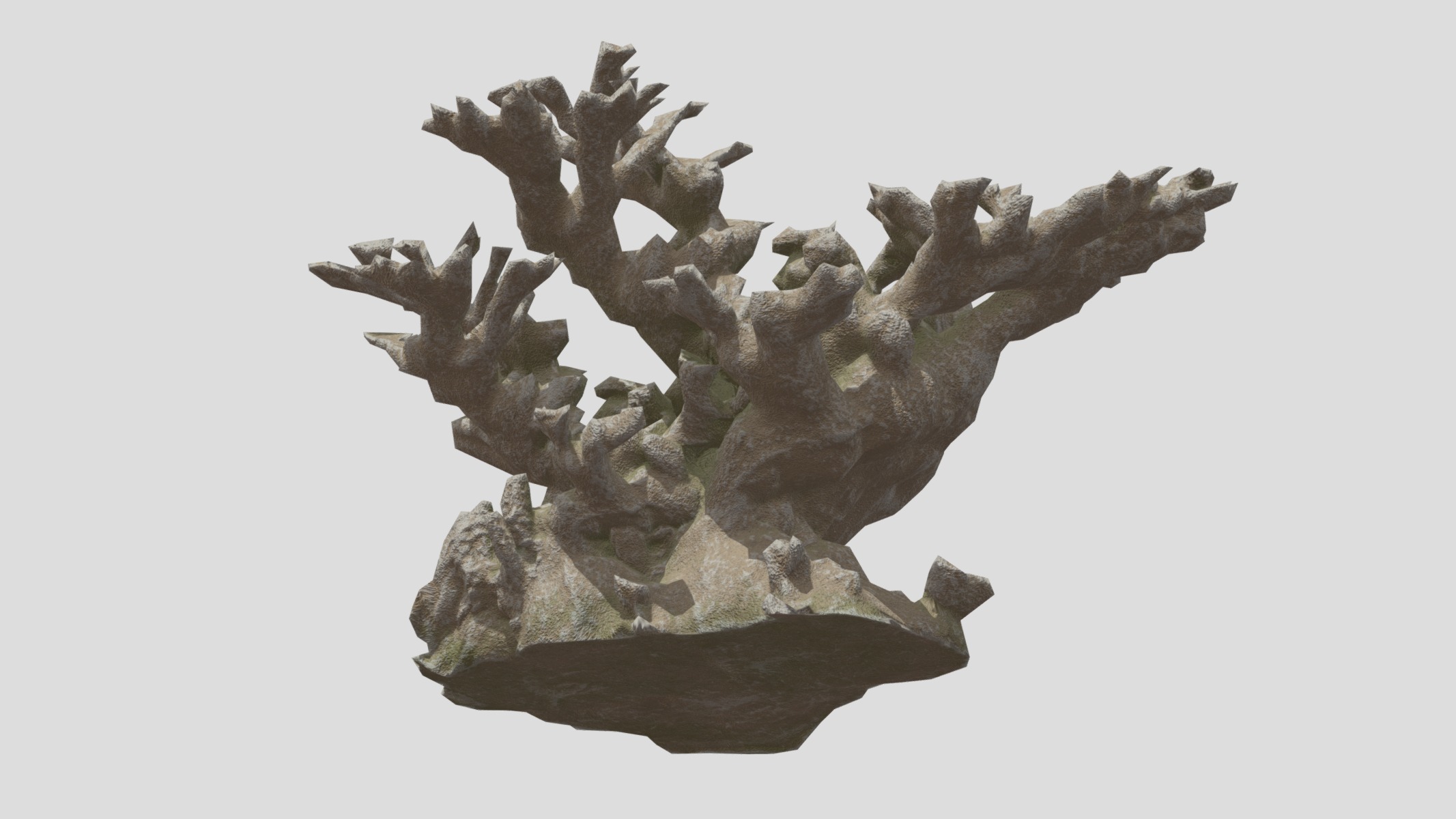 Elkhorn Coral Low Poly Low-poly 3D model_10