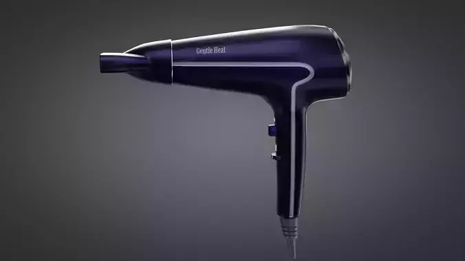 3D Model Hair Dryer Gentle Heat