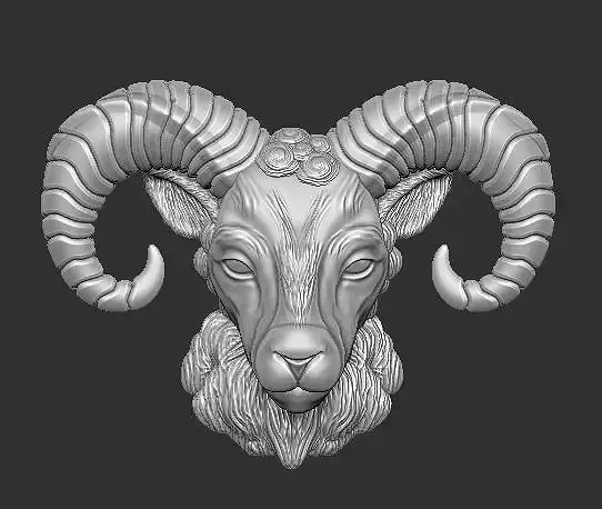 Goat Face Model