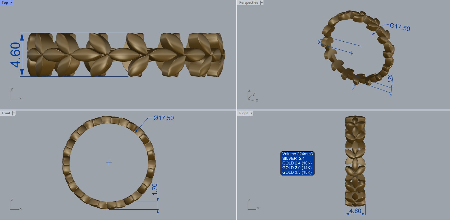 R 193 Leaf style ring 3D print model_13