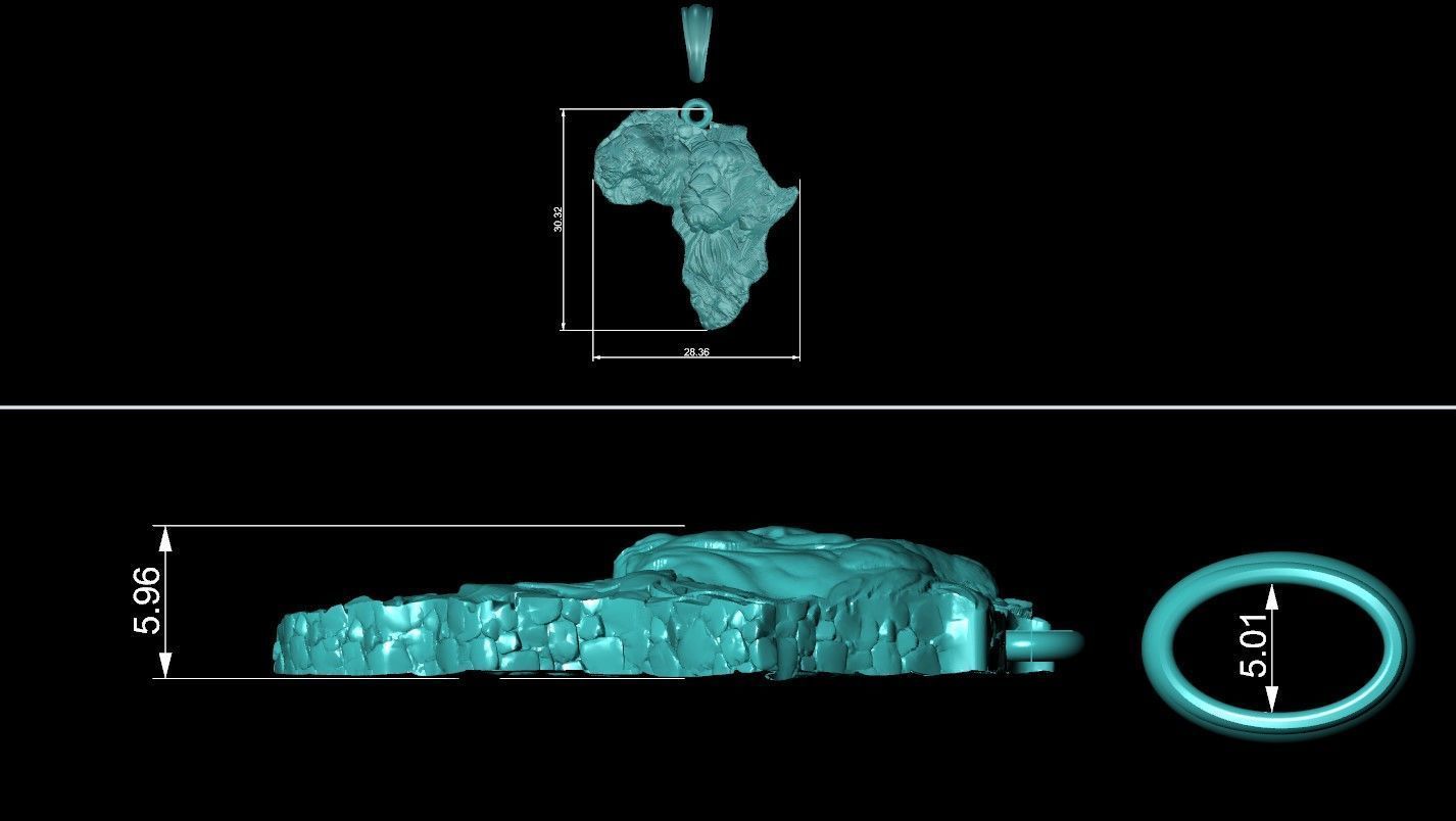 Pendant African continent lions  3D print model_14