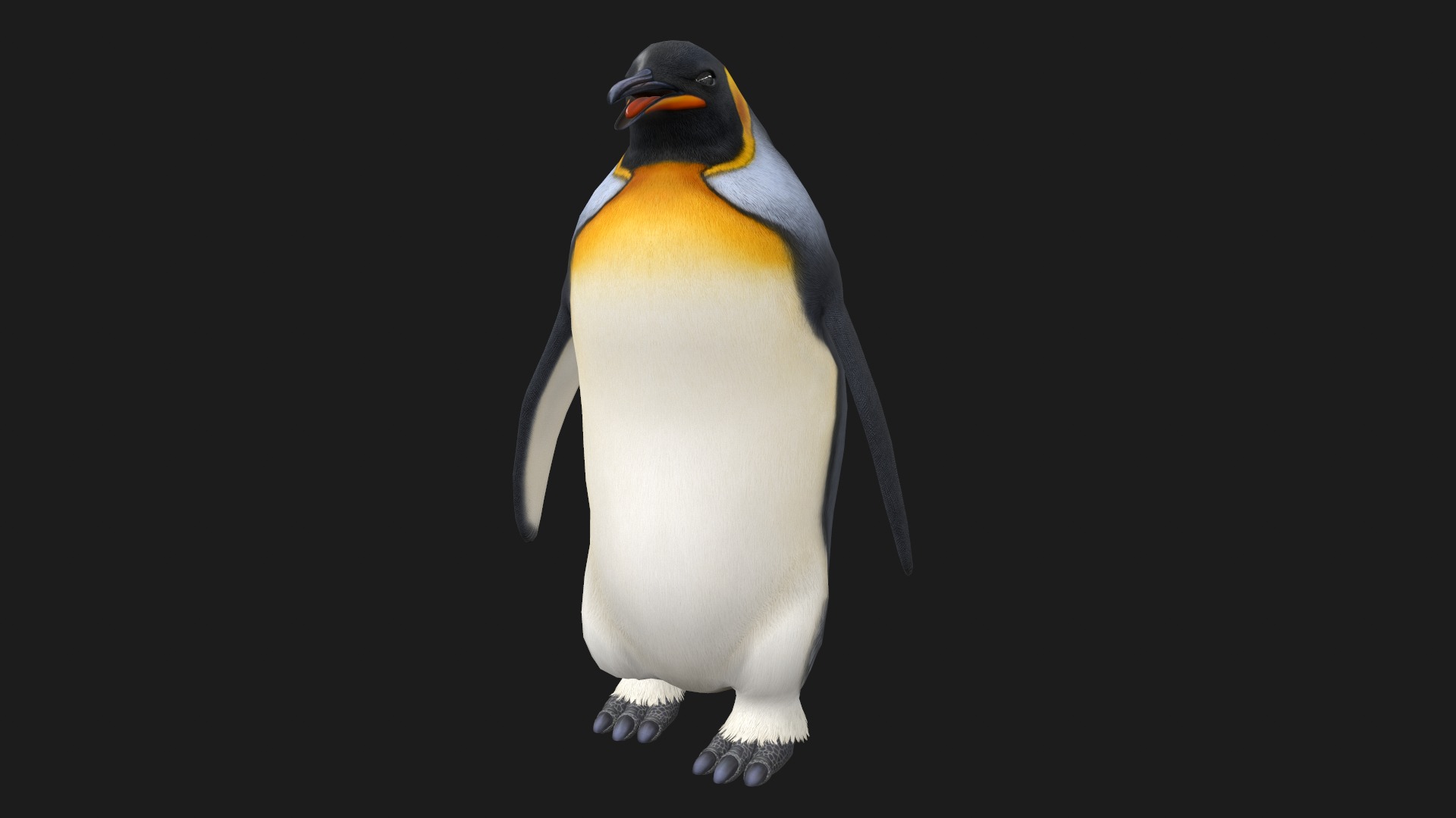Animated penguin 3D model_3