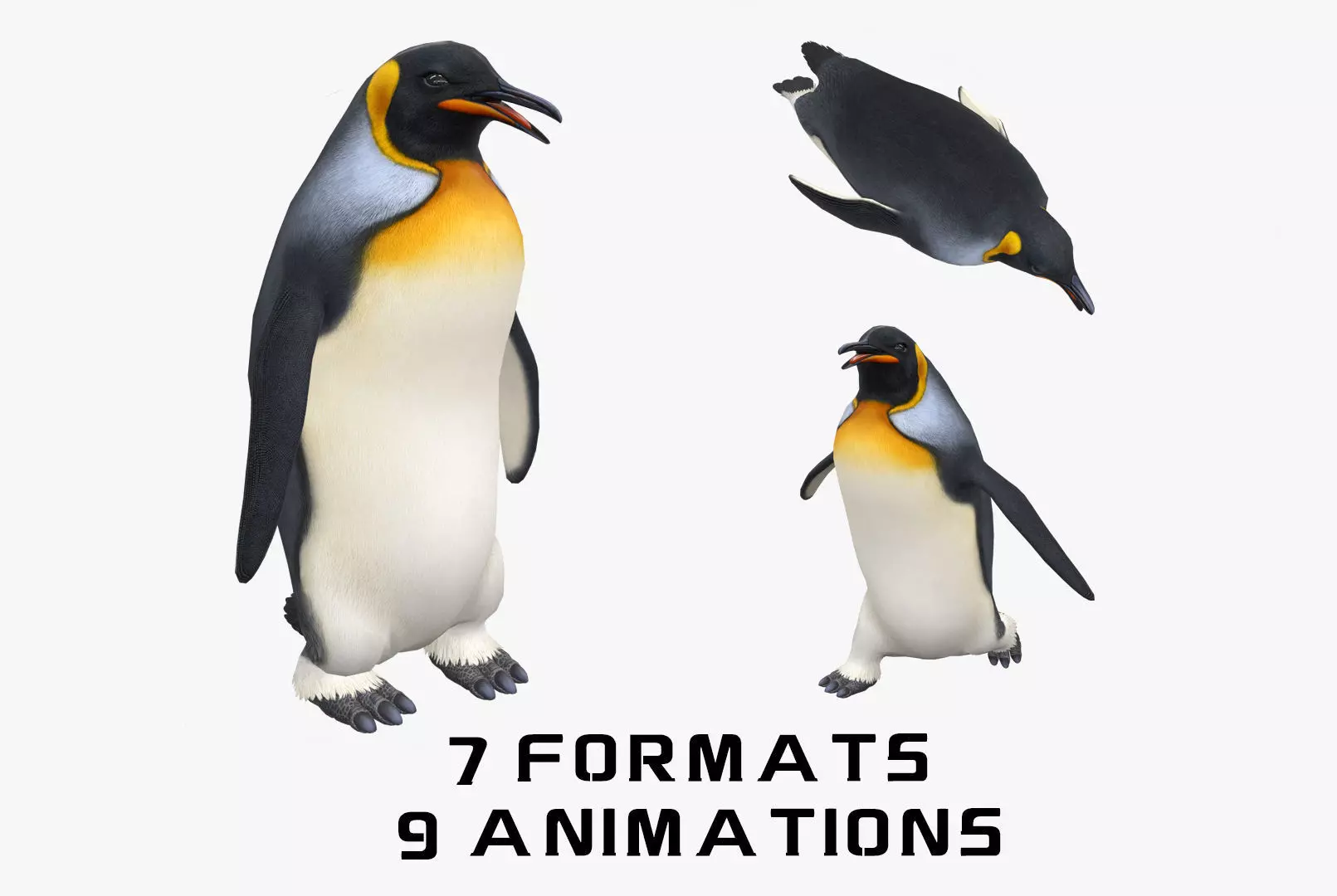 Animated penguin 3D model_0