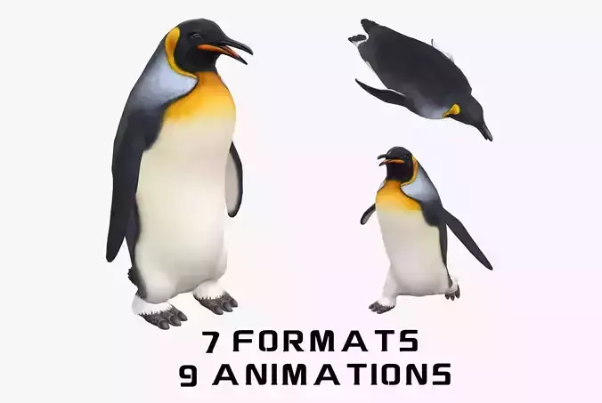 Animated penguin 3D model