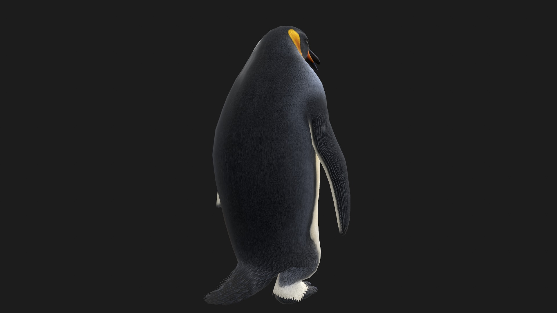 Animated penguin 3D model_5