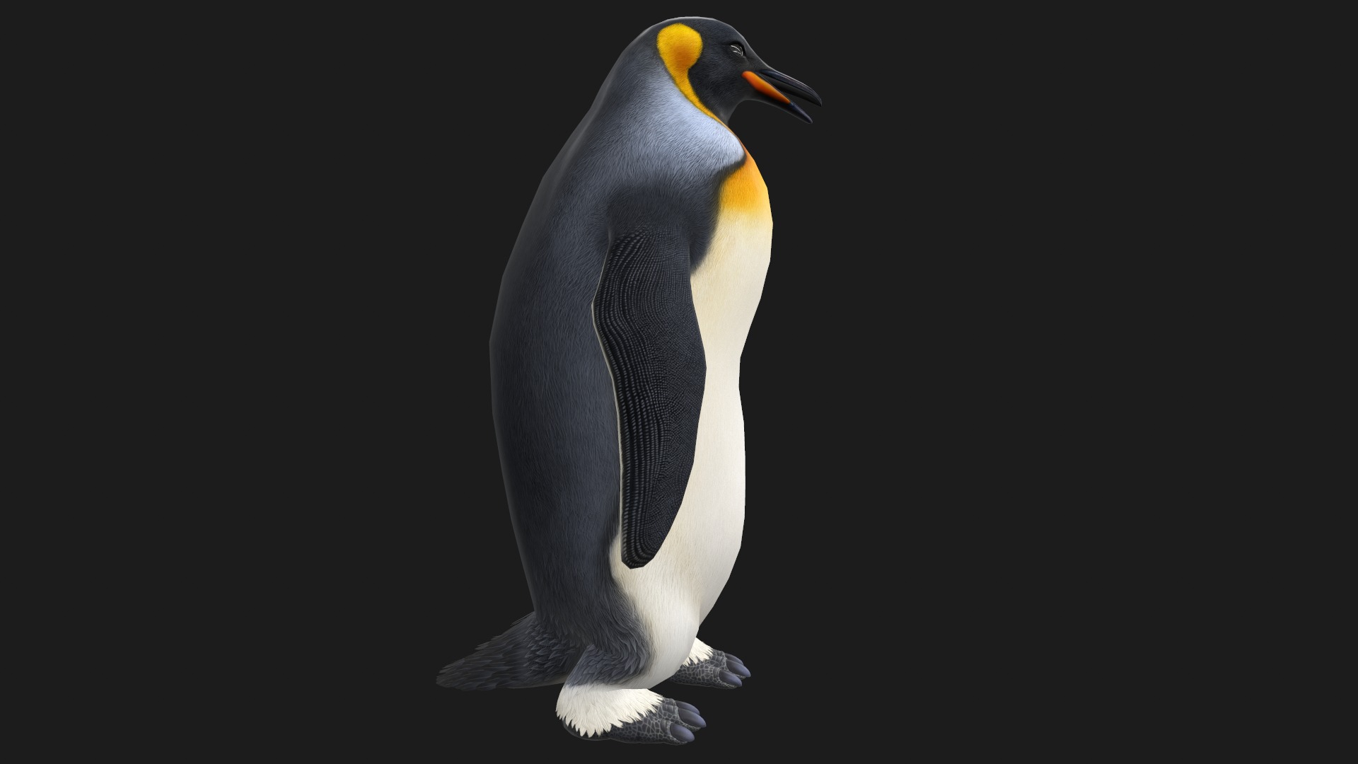 Animated penguin 3D model_6
