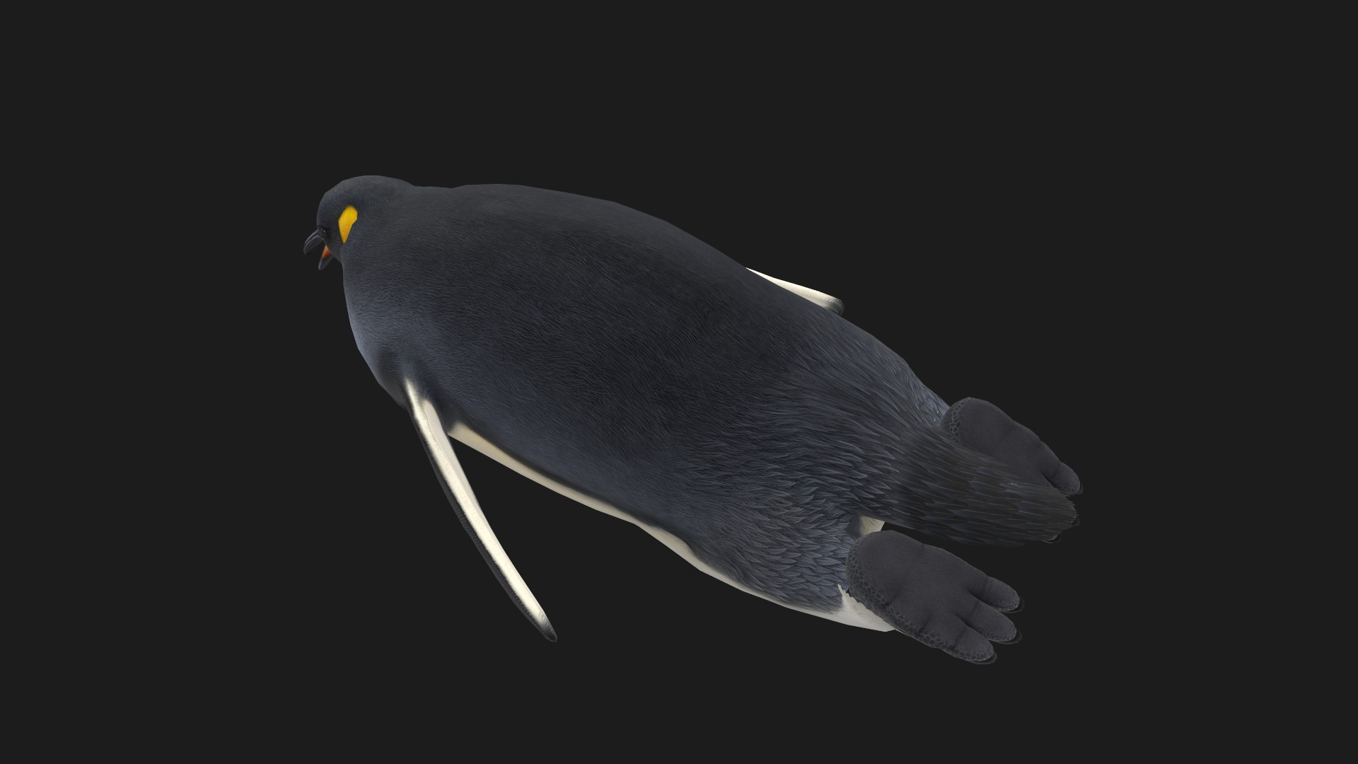 Animated penguin 3D model_7