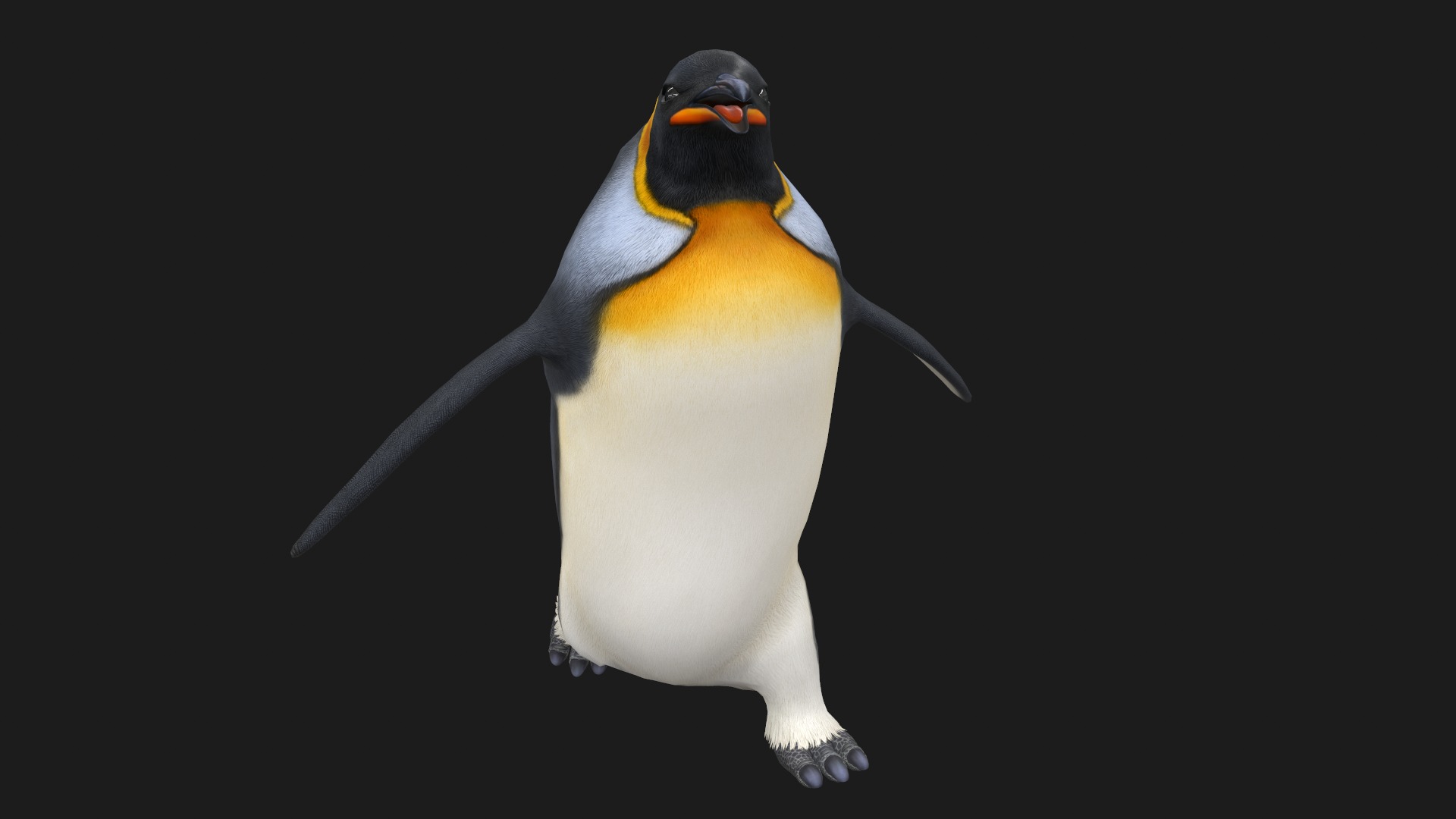 Animated penguin 3D model_8