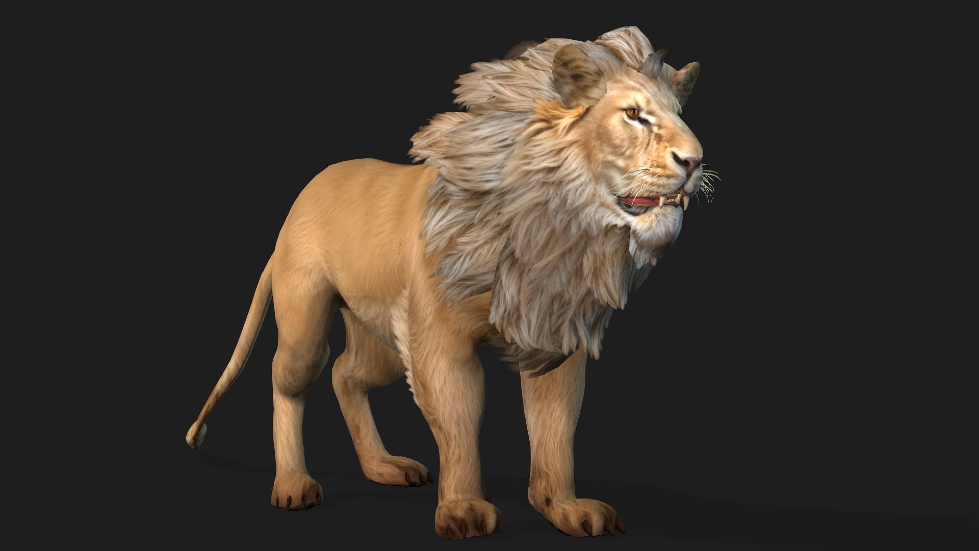 Lion-A1 3D model_2