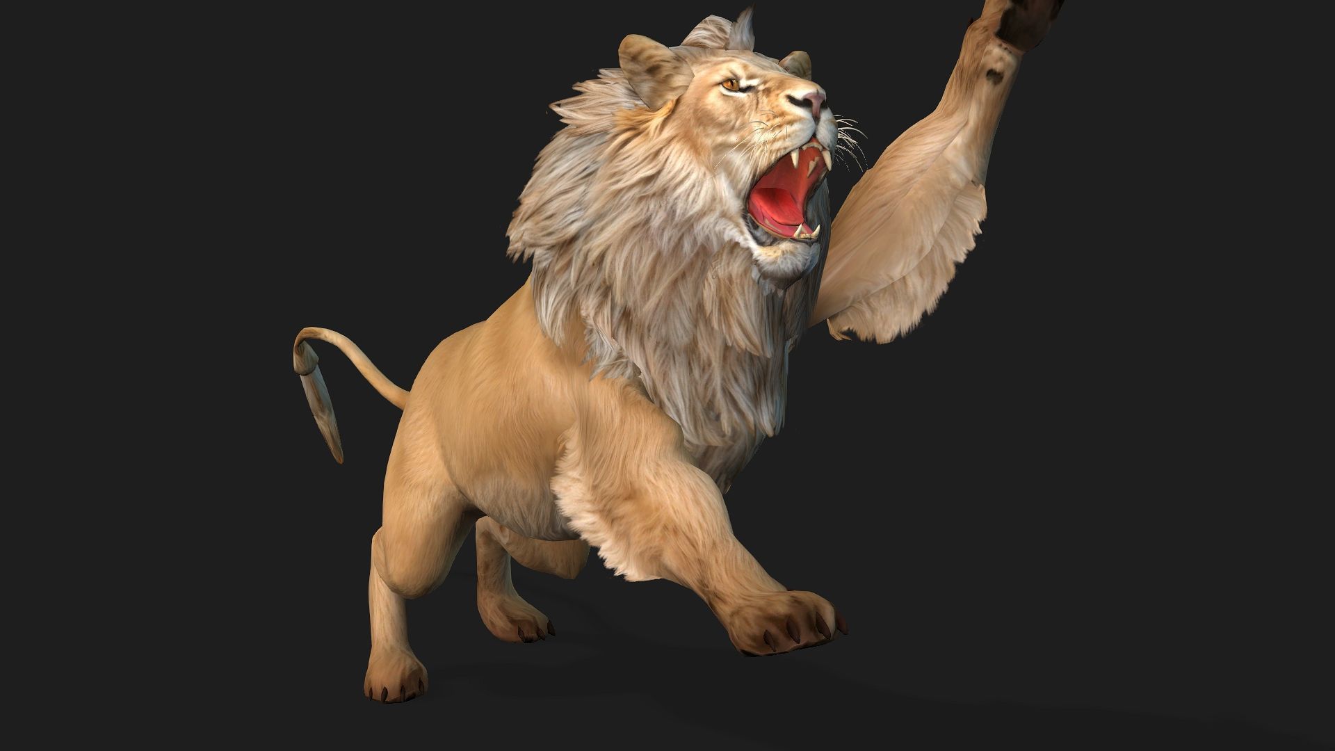 Lion-A1 3D model_14