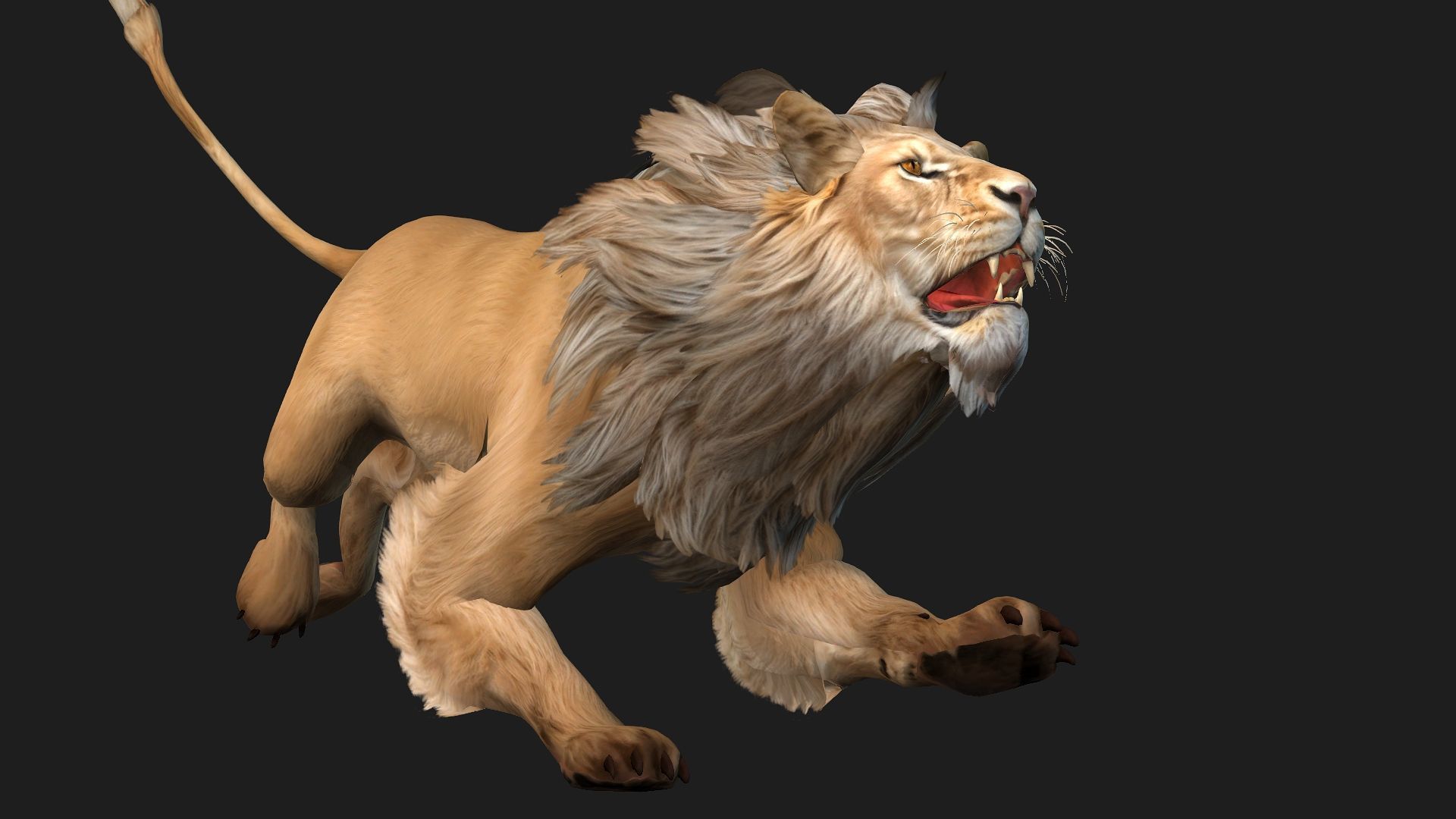 Lion-A1 3D model_6