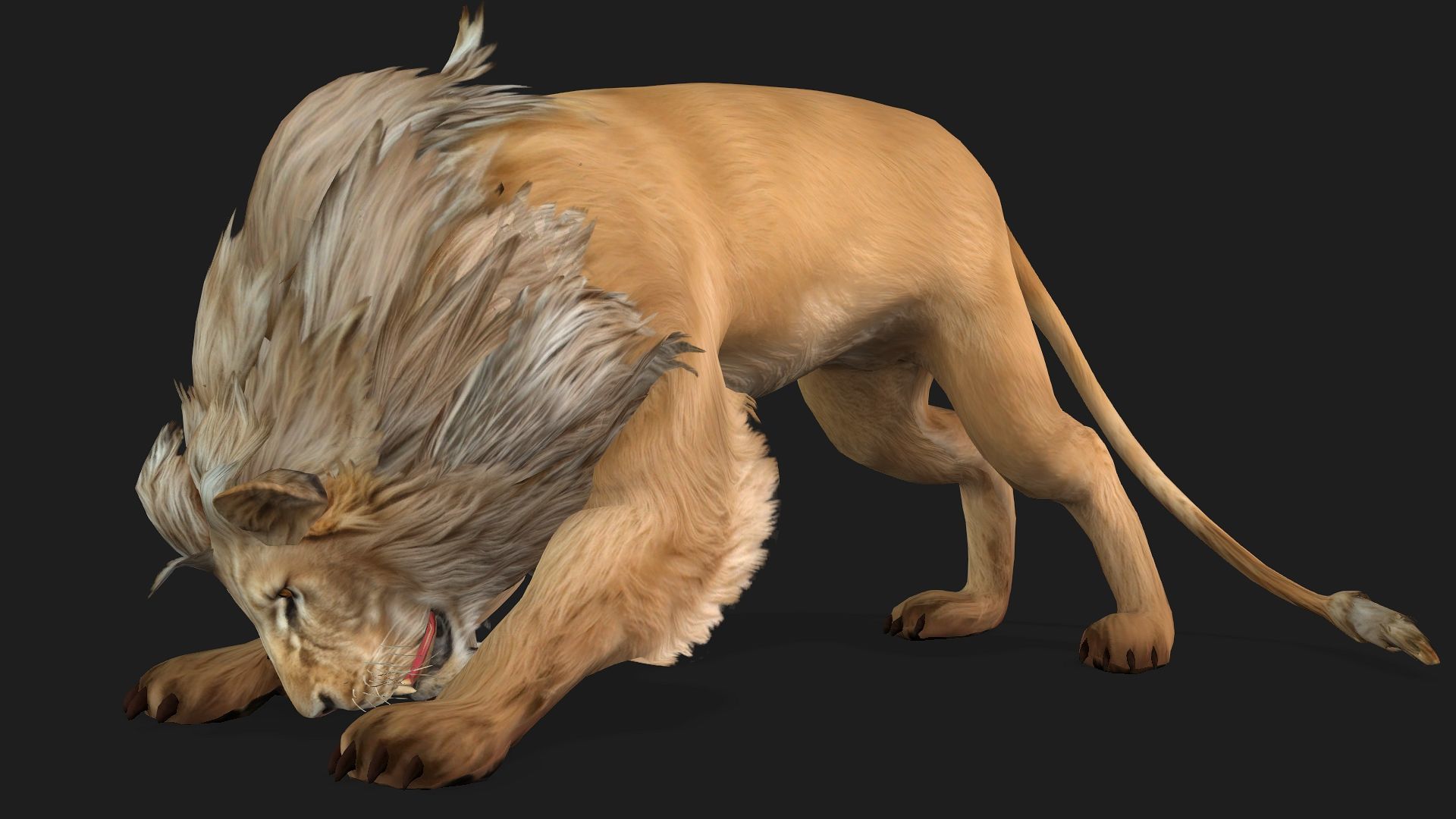 Lion-A1 3D model_8