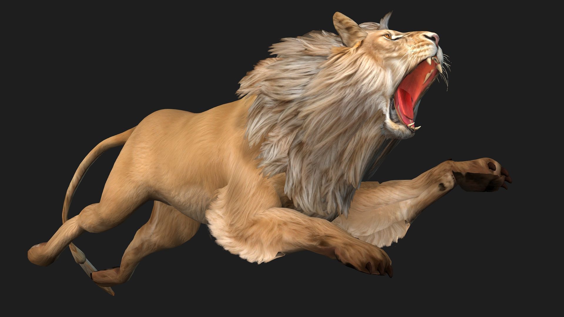 Lion-A1 3D model_3