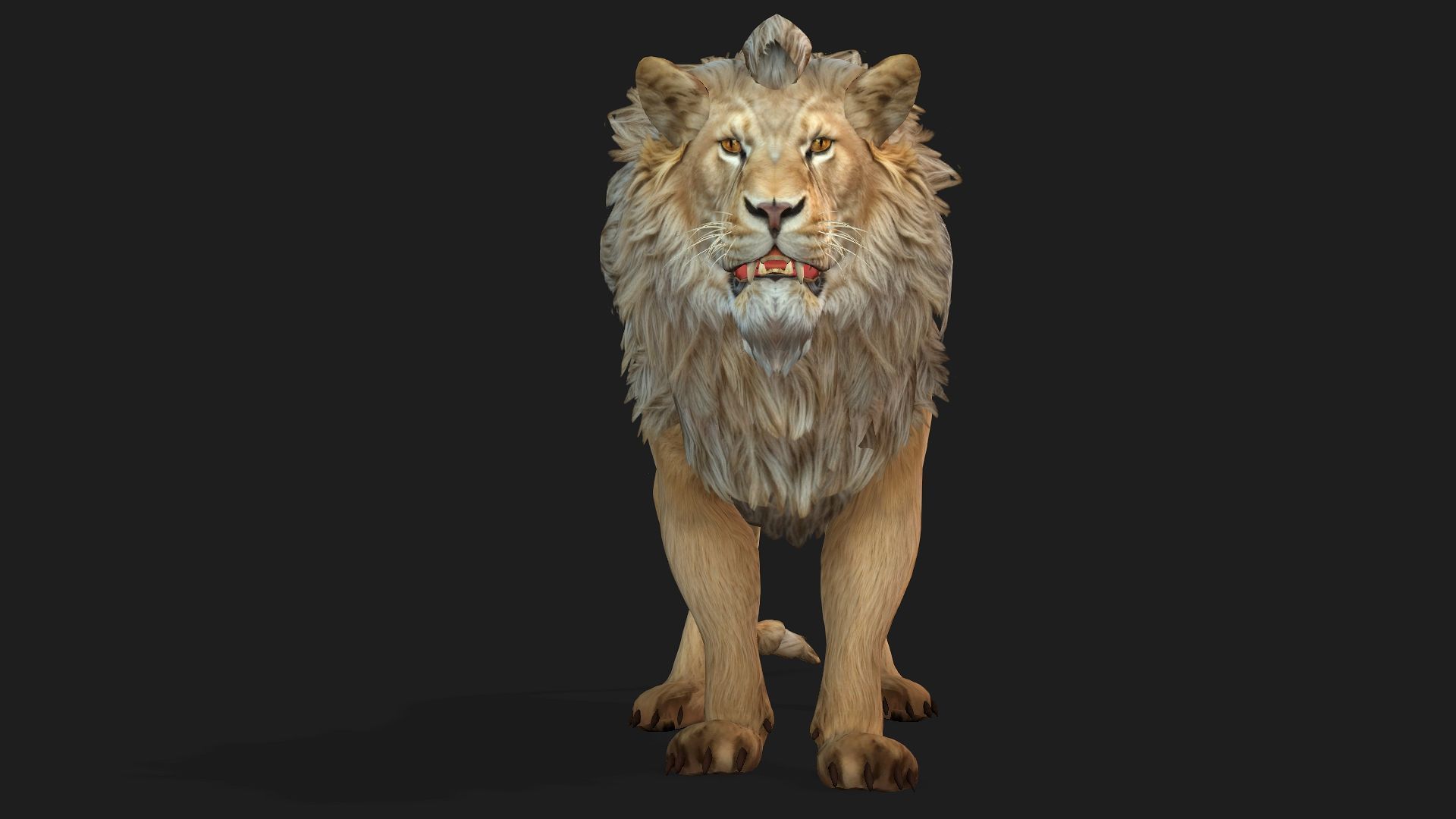 Lion-A1 3D model_11