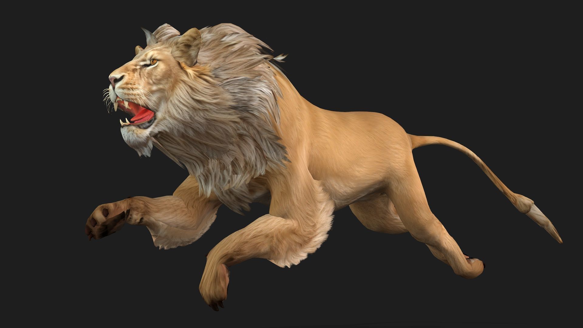 Lion-A1 3D model_7