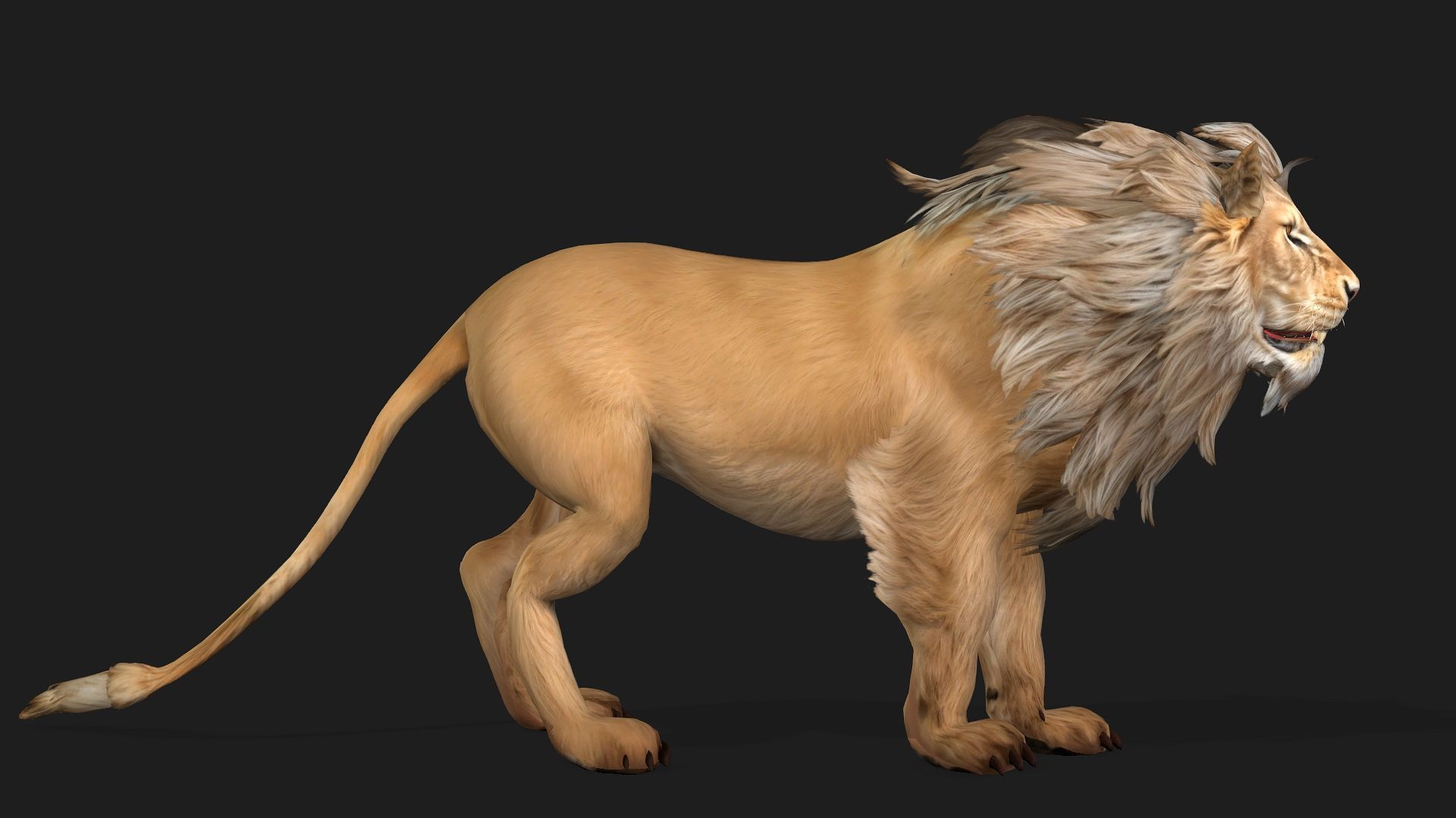 Lion-A1 3D model_9