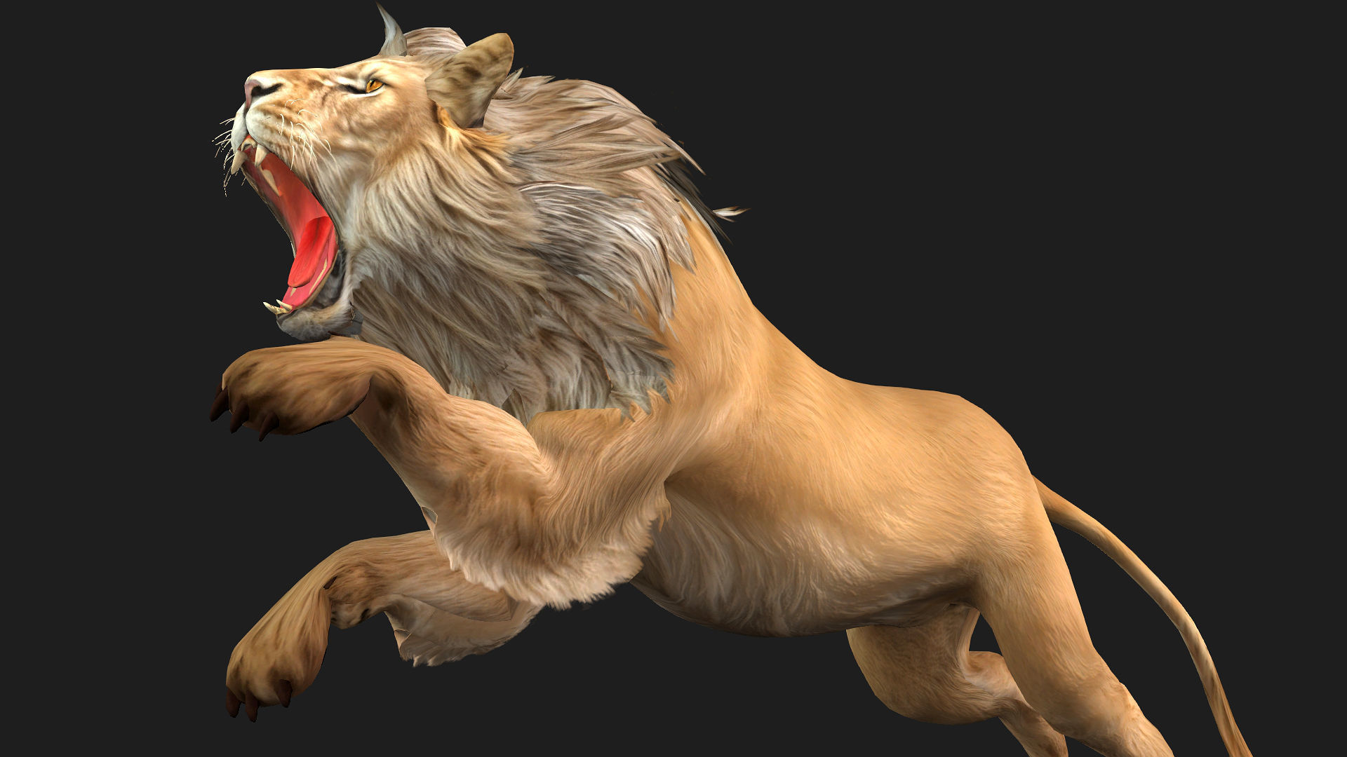 Lion-A1 3D model_4