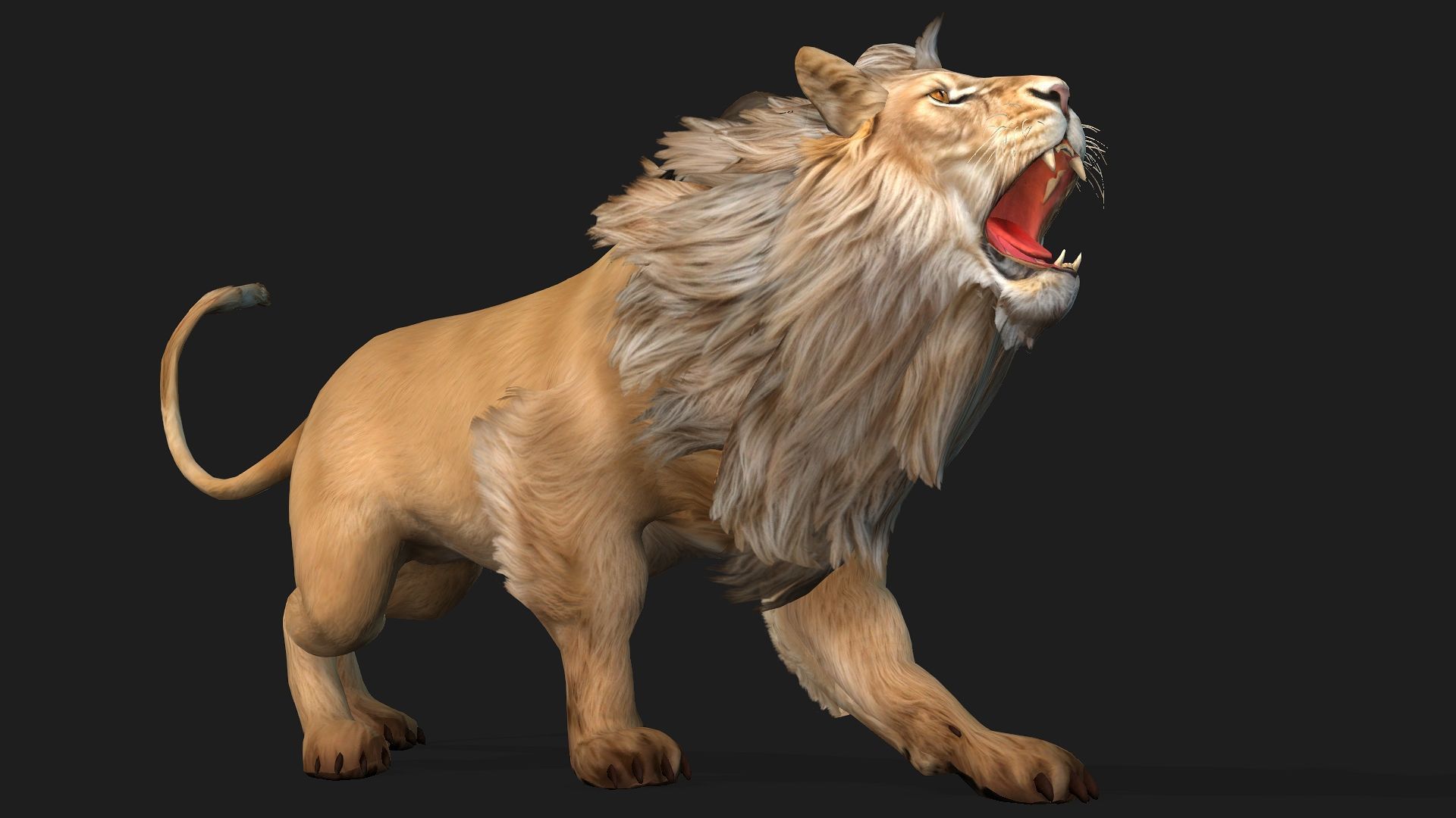 Lion-A1 3D model_5