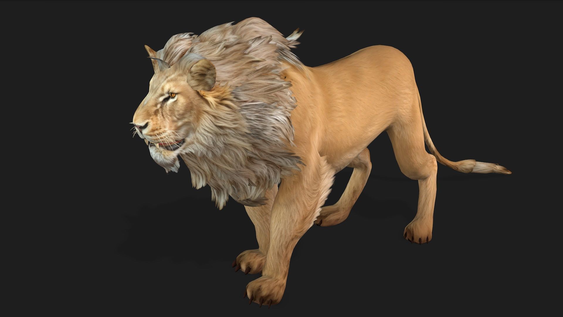 Lion-A1 3D model_10