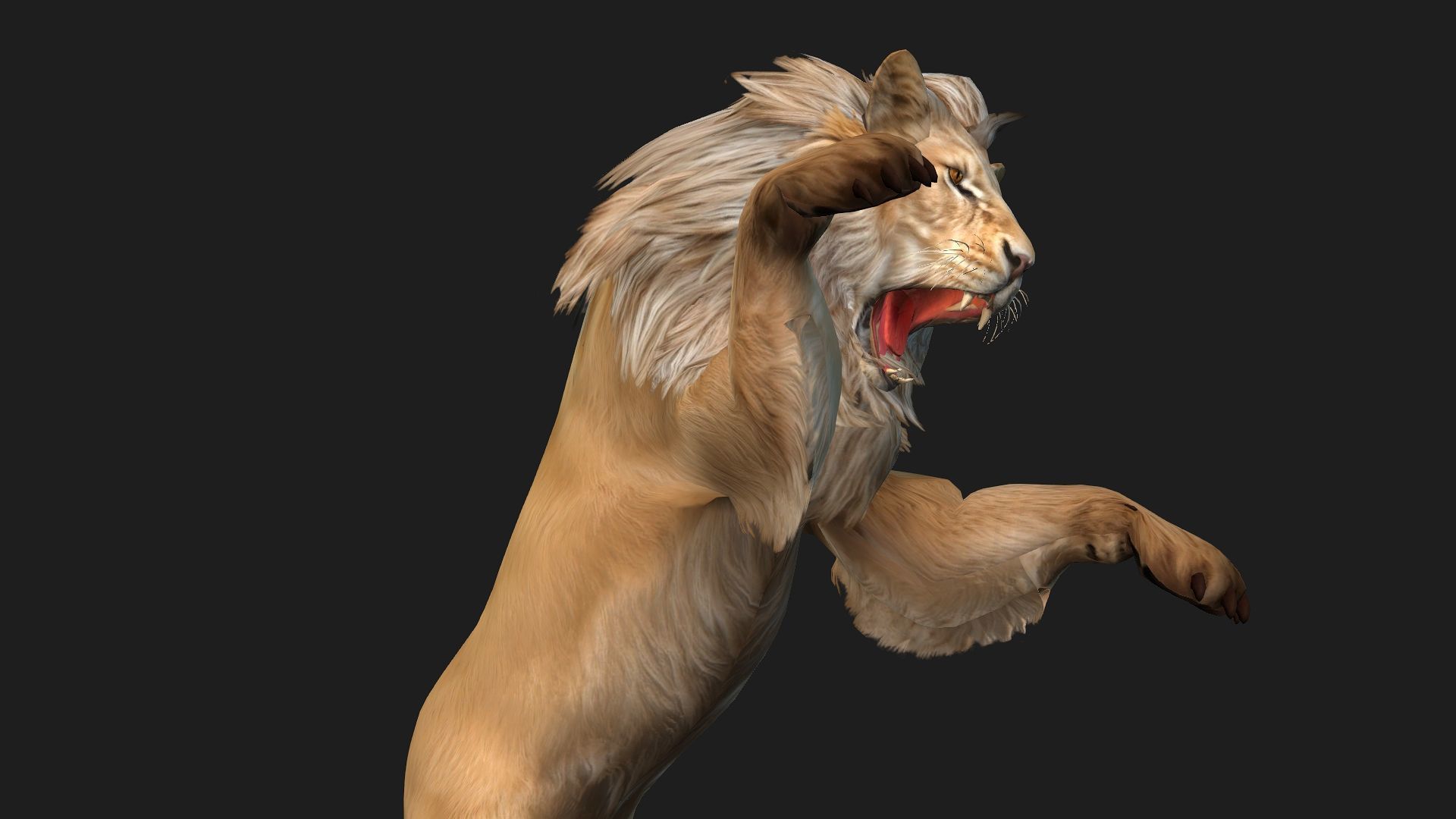 Lion-A1 3D model_16