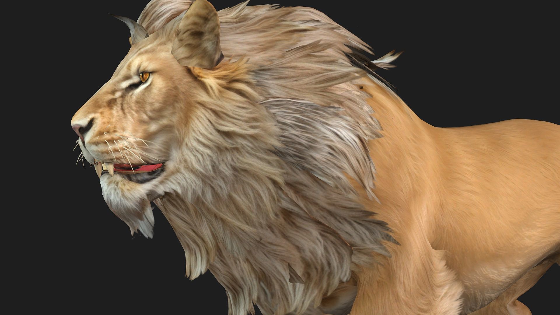 Lion-A1 3D model_13