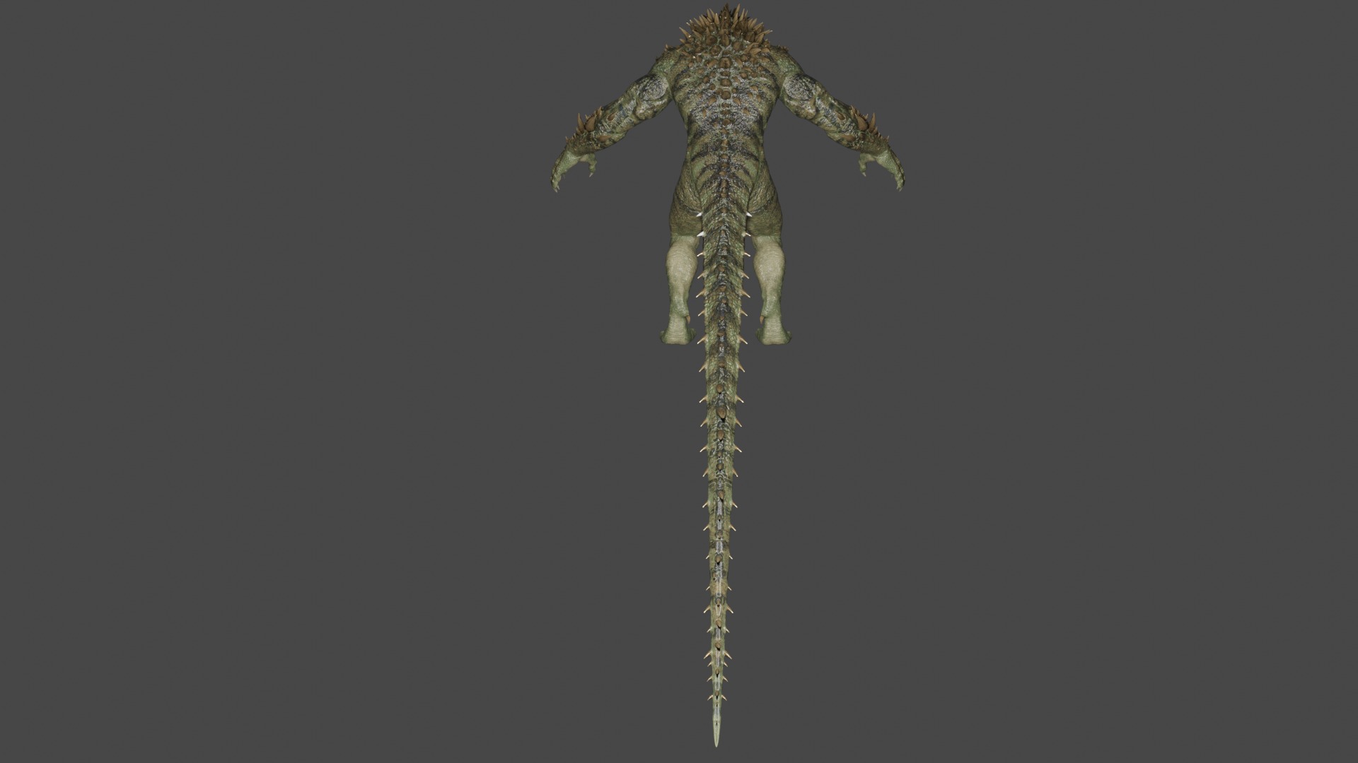 Lizard  3D model_4