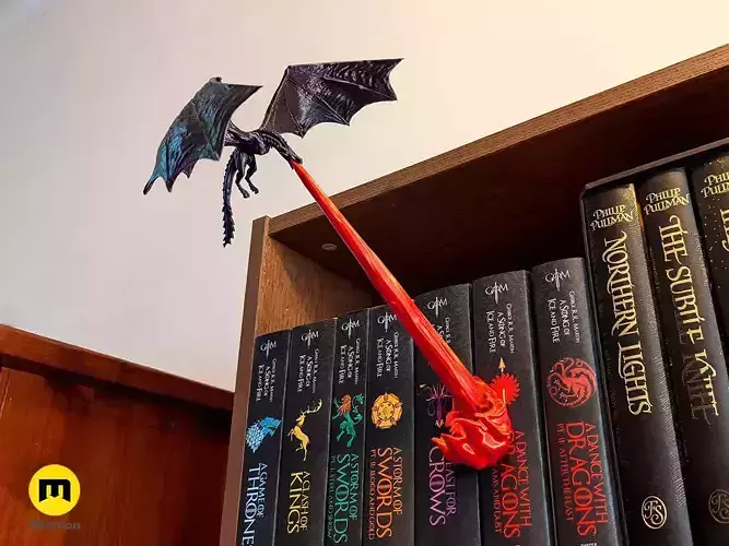 Flying Dragon Book Nook 3D print model