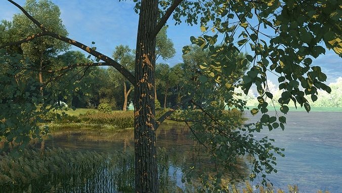 Nature River Park Scene 3D 3D model 5