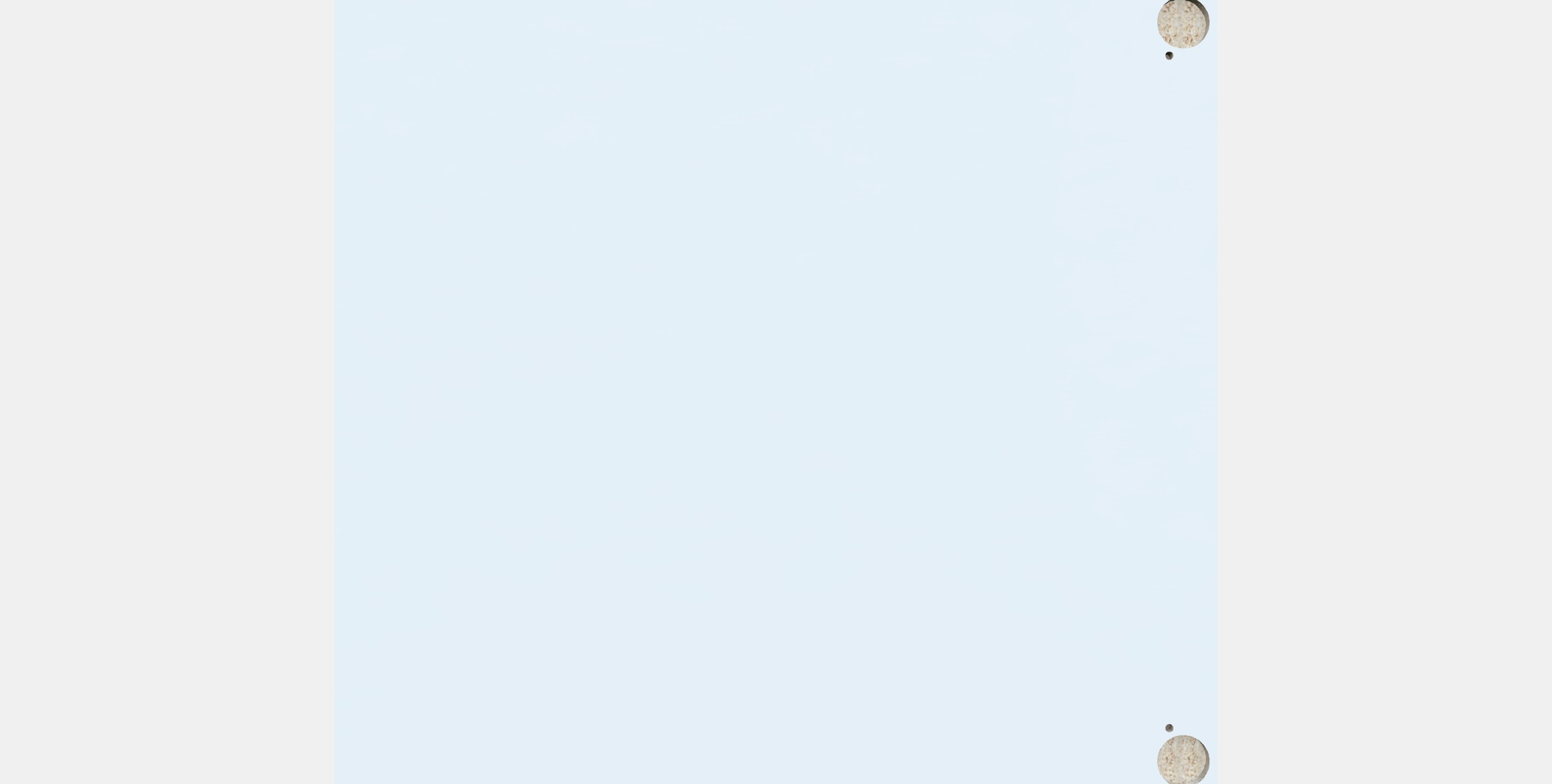 RINGHULT By 29 Low-poly 3D model_15